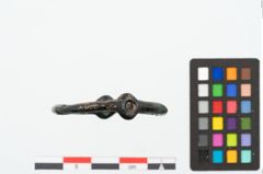 Foto von Bronzescheibenring (NHMW-PRAE-025360)